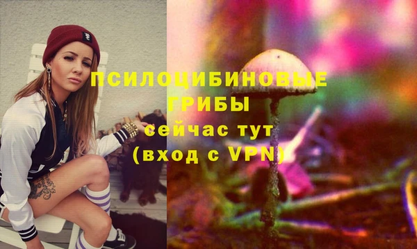 ГАЛЛЮЦИНОГЕННЫЕ ГРИБЫ Балабаново