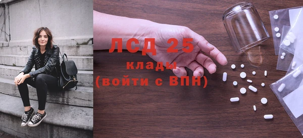 ГАЛЛЮЦИНОГЕННЫЕ ГРИБЫ Балабаново