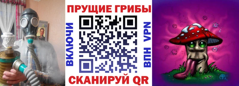 магазин продажи Морозовск Псилоцибиновые грибы мухоморы